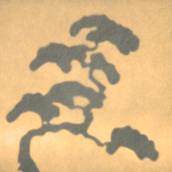 Niwaki 庭木 – Image 3